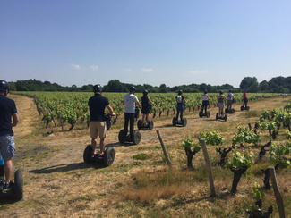 Découverte vignoble à nantes activité d'entreprise