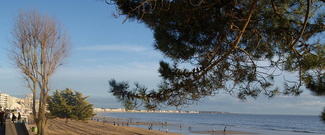 Location de Segway, trottinette et vélo à La Baule