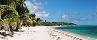 Location de Segway Trottinettes et Vélos électriques en Guyane