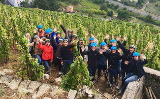 circuit œnotourisme pour un séminaire