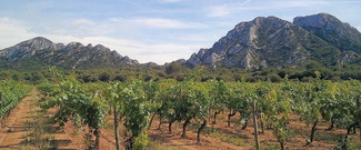 saint-remy de Provence 