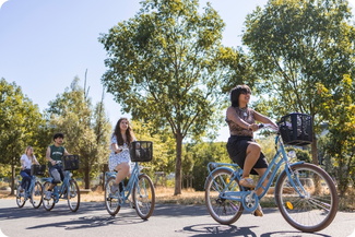 Location de vélo à Lyon avec Mobilboard
