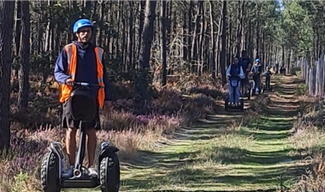 encadrement-mobilboard