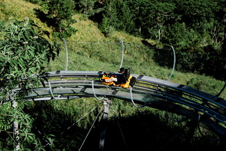 luge d'été