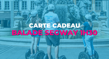 balade segway lyon 1h30