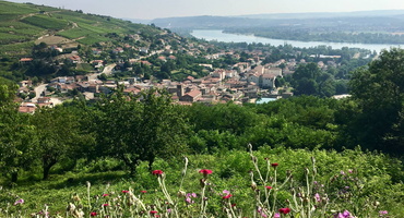 decouverte-chavanay-segway-condrieu