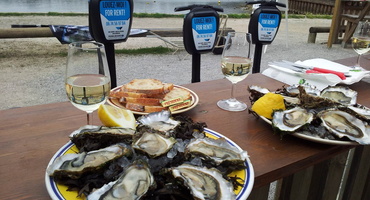 dégustation huitres vin blanc capbreton