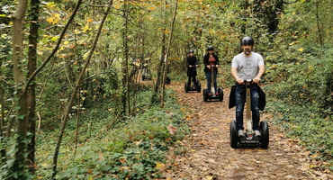 foret du touquet mobilboard