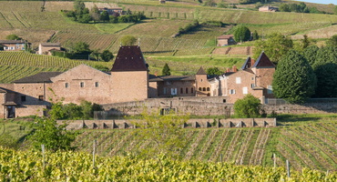 visiter juliénas beaujolais