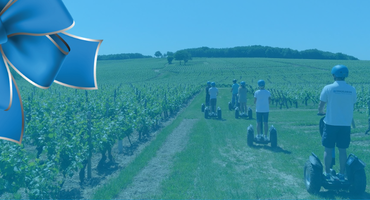 segway dans les vignes mobilboard beaujolais