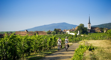 balade-a-velo-dans-le-vignoble-centre-alsace-journée