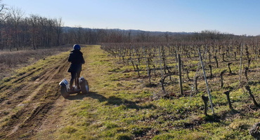 balade-dans-les-vignes-midi-quercy