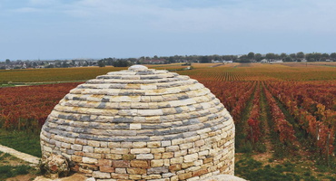 Balade guidée à Beaune