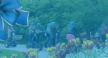 carte cadeau saint-omer