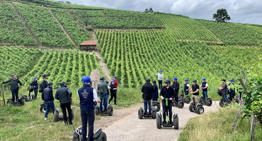 decouverte-des-vignes-et-degustation-de-vins-Obernai-Alsace