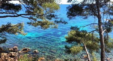 Bandol