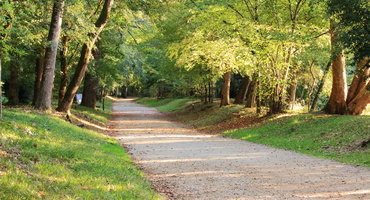 allées _parc_de_la_garenne_nérac