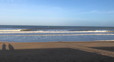 plage avec vagues