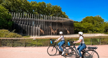 Balade à vélo au parc de la Tête d'Or de Lyon