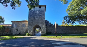 porte_vianne_mobilboard
