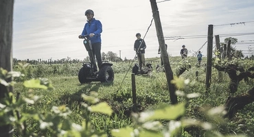 Balade en gyropode Segway entre les vignes aux portes de Bordeaux