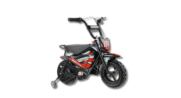E MOTO 250W